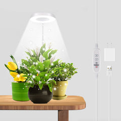 GYTF Halo Plant Grow Light with adjustable pole and lamp