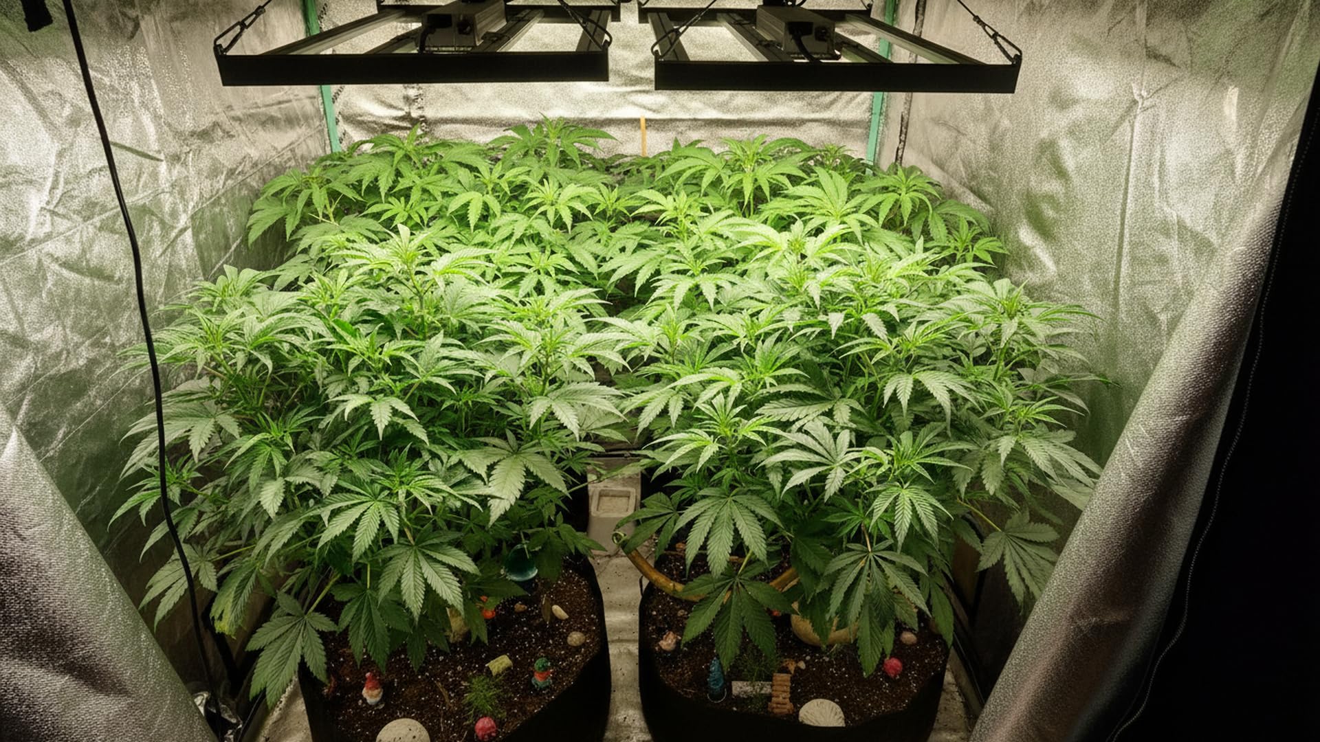 H HNMA HN 120W LED Grow Light compact size comparison