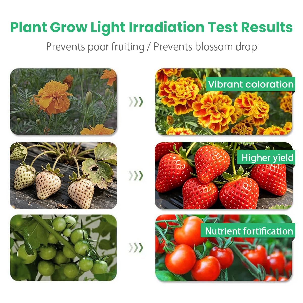 H HNMA HN grow light illuminating various indoor plants