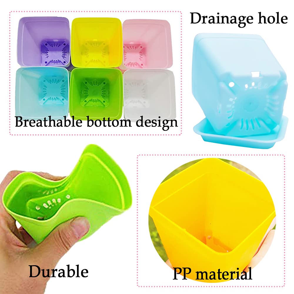 Haawooky 3-inch plastic pot with drainage holes
