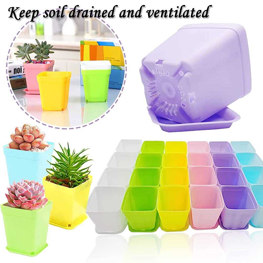 Haawooky plant pots in assorted colours for home decor