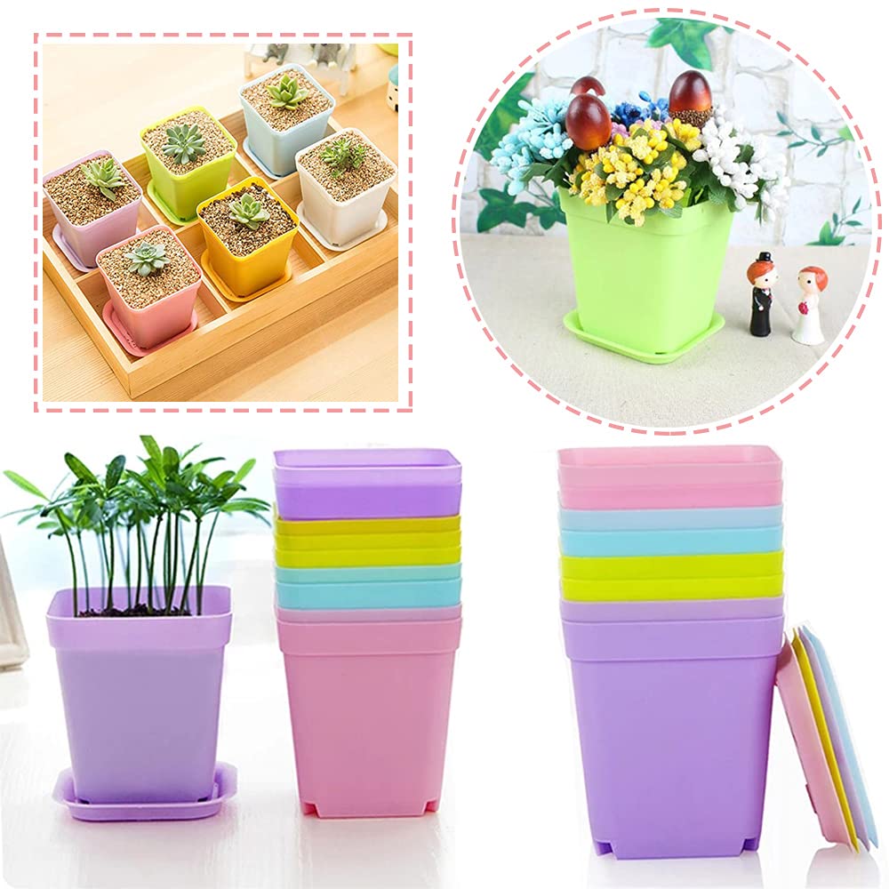 Haawooky plant pots with matching saucers in vibrant colors