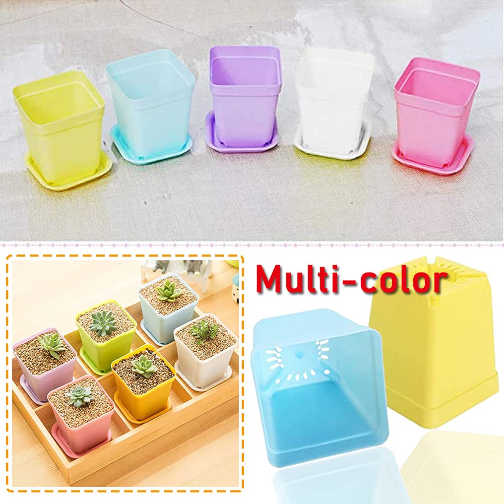 Haawooky square plastic pots suitable for succulents