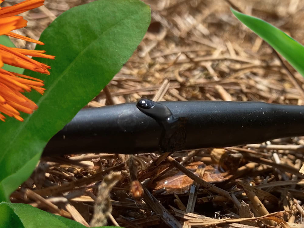 Habitech drip irrigation tubing laid out in a garden
