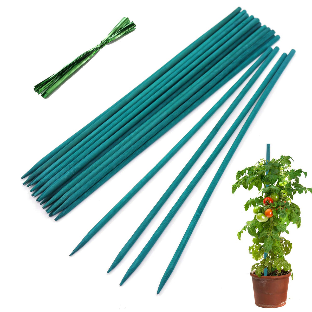 HAINANSTRY 18IN Green Bamboo Plant Stakes pack front view