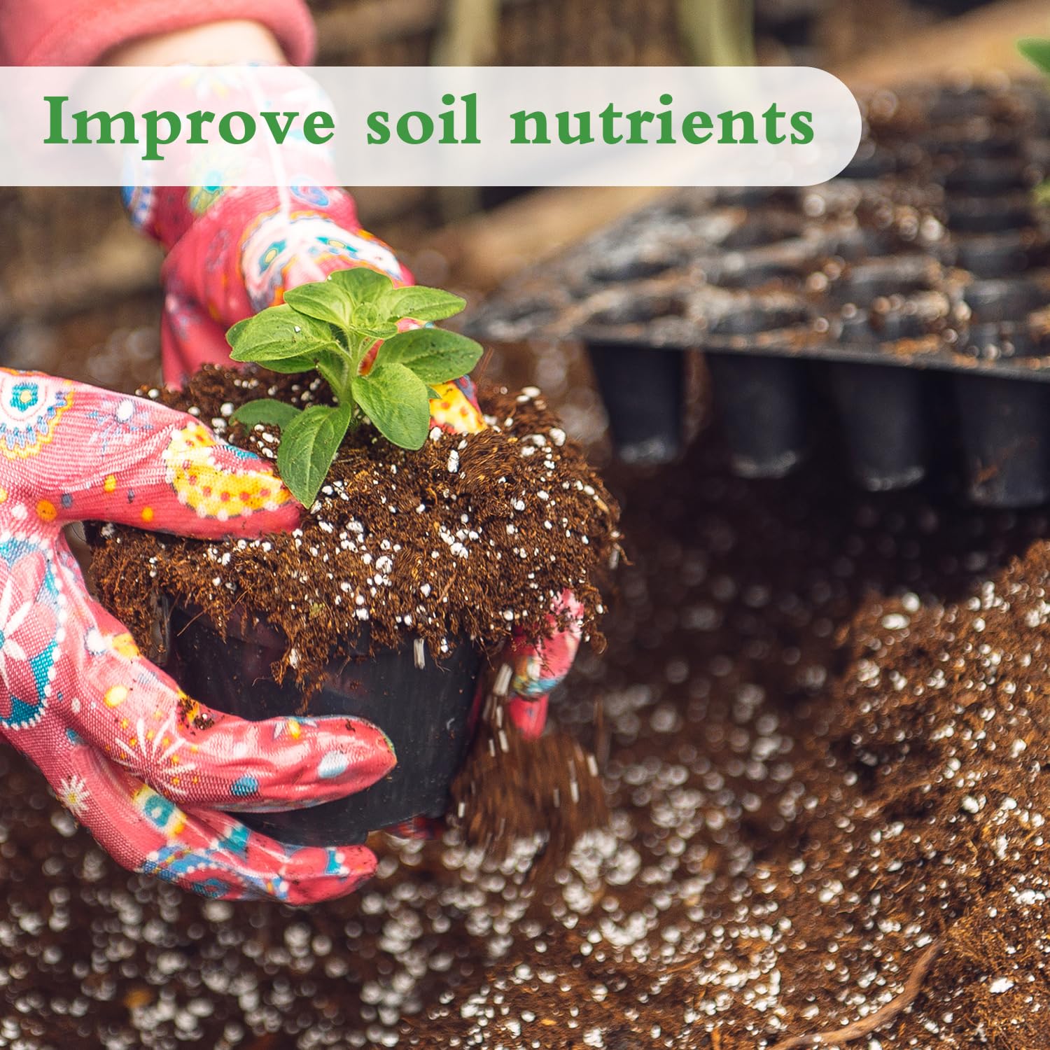 HAINANSTRY Perlite in a potting mix with plants
