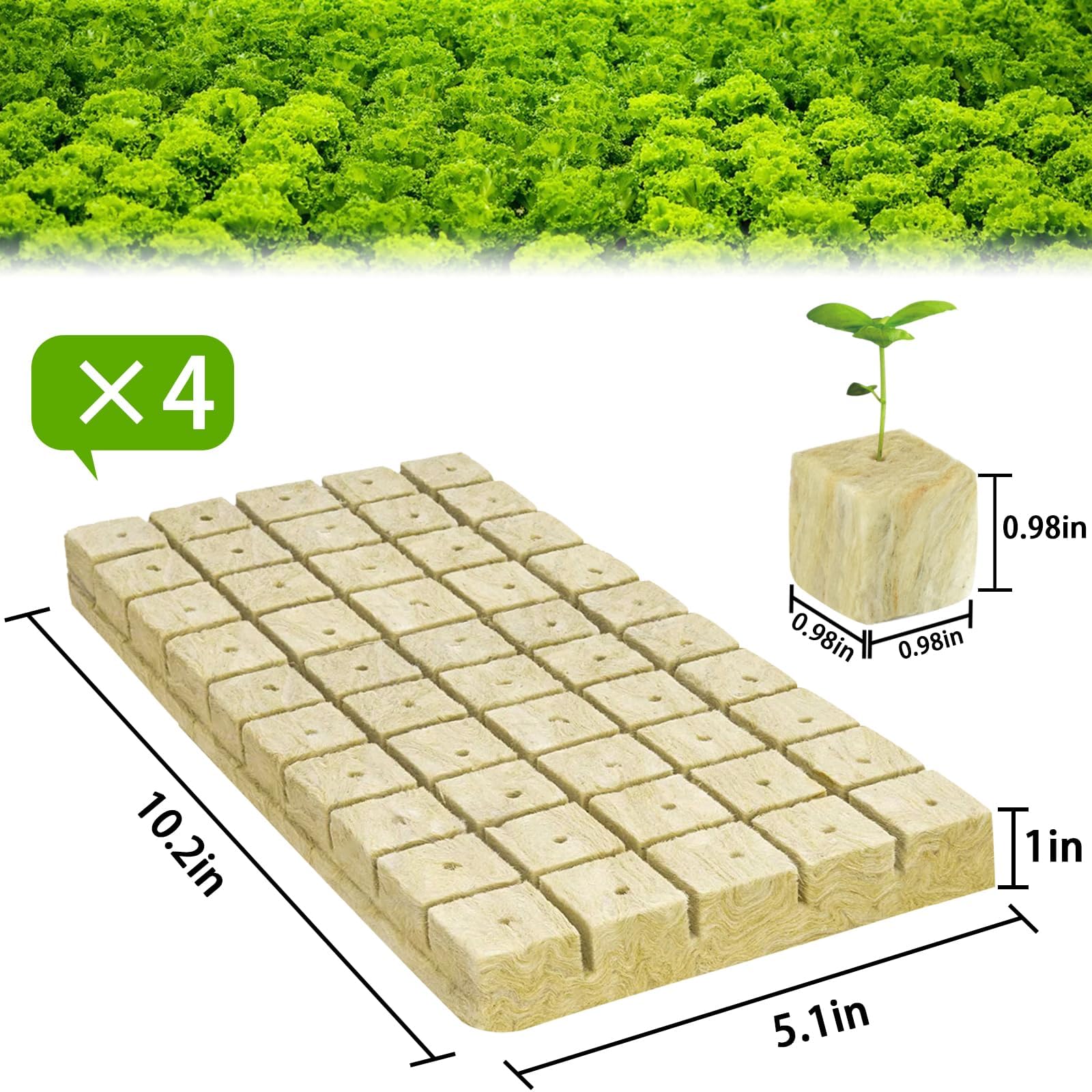 Halatool 1-inch rockwool cubes laid out for planting