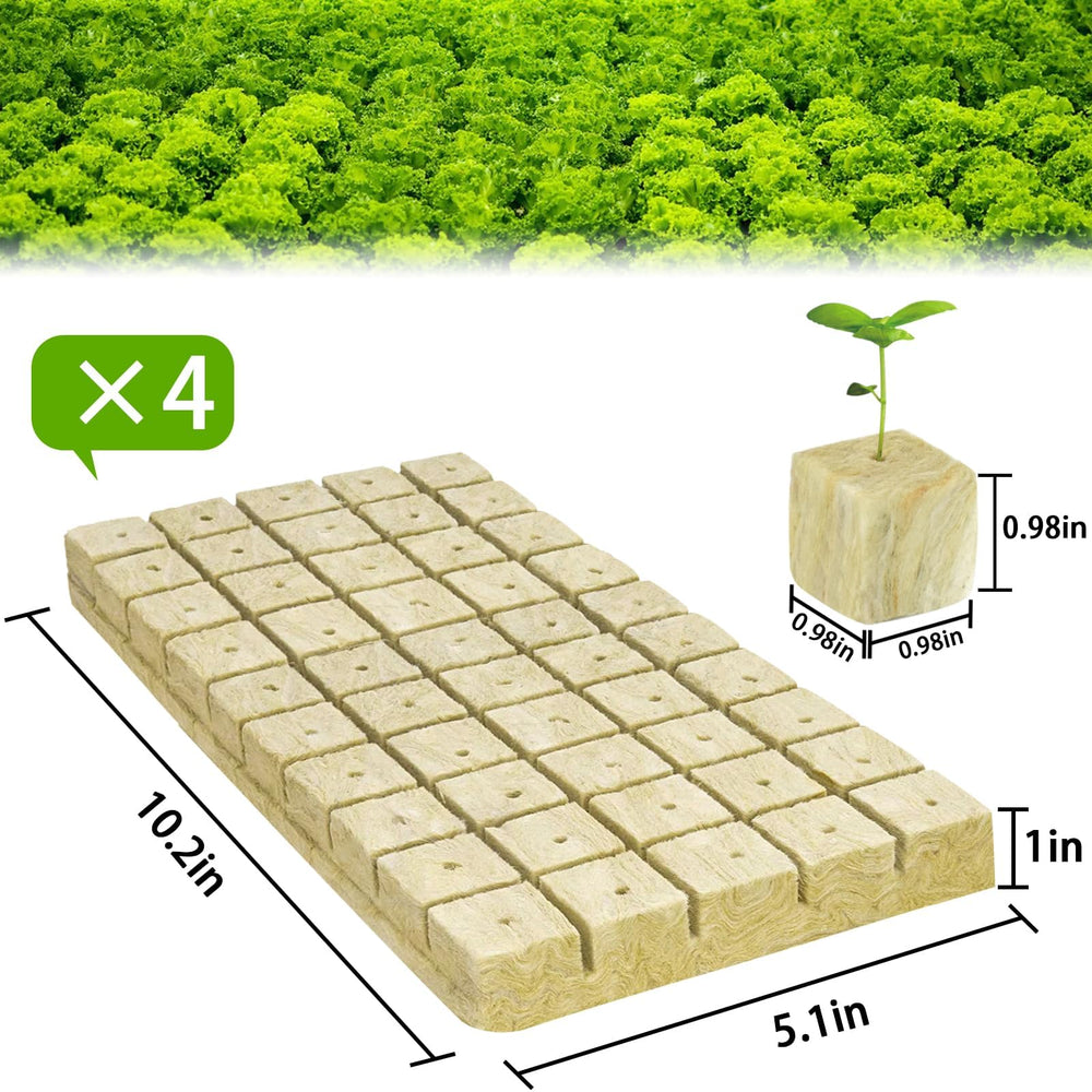 Halatool 1-inch rockwool cubes laid out for planting