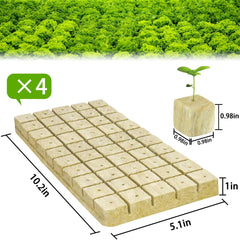 Halatool 1-inch rockwool cubes laid out for planting