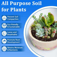 Halatool 3QT potting soil used in indoor plant pot