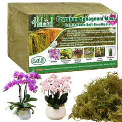 Halatool 4.4LB natural green sphagnum moss front view