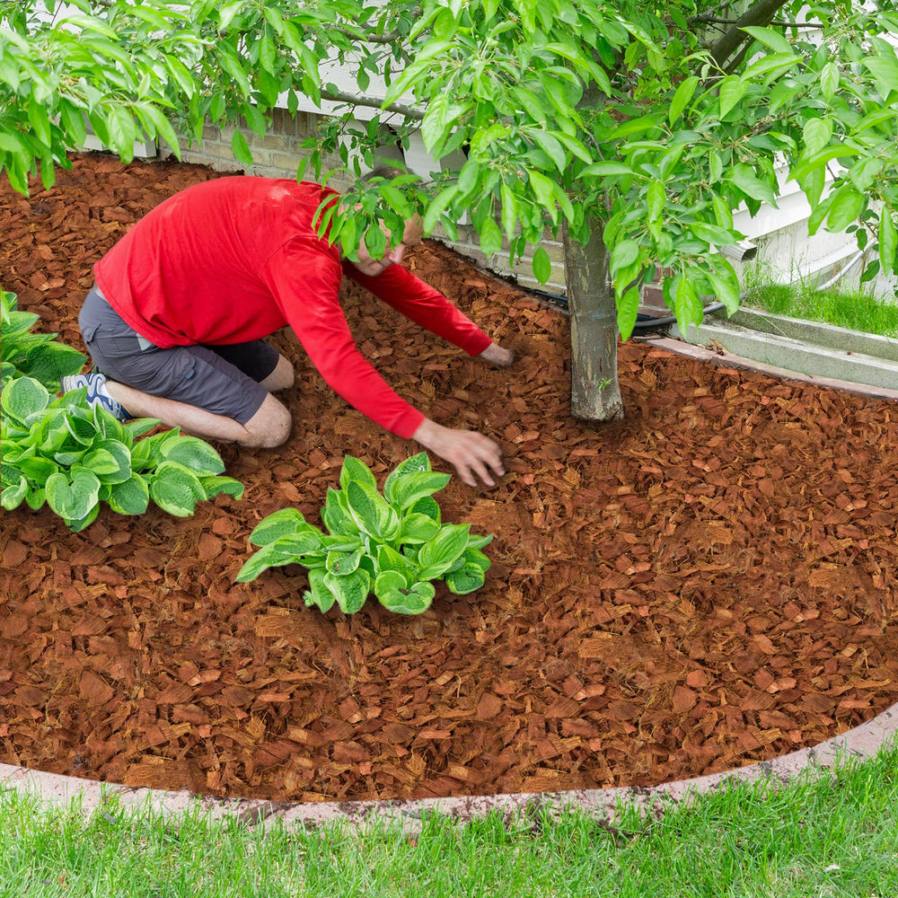Halatool coco husk chips in use for potted plants