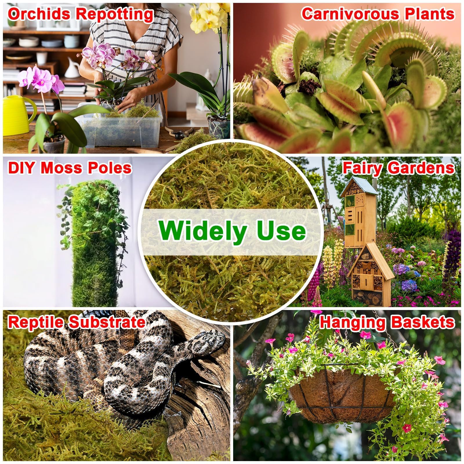 Halatool moss in a decorative garden setup