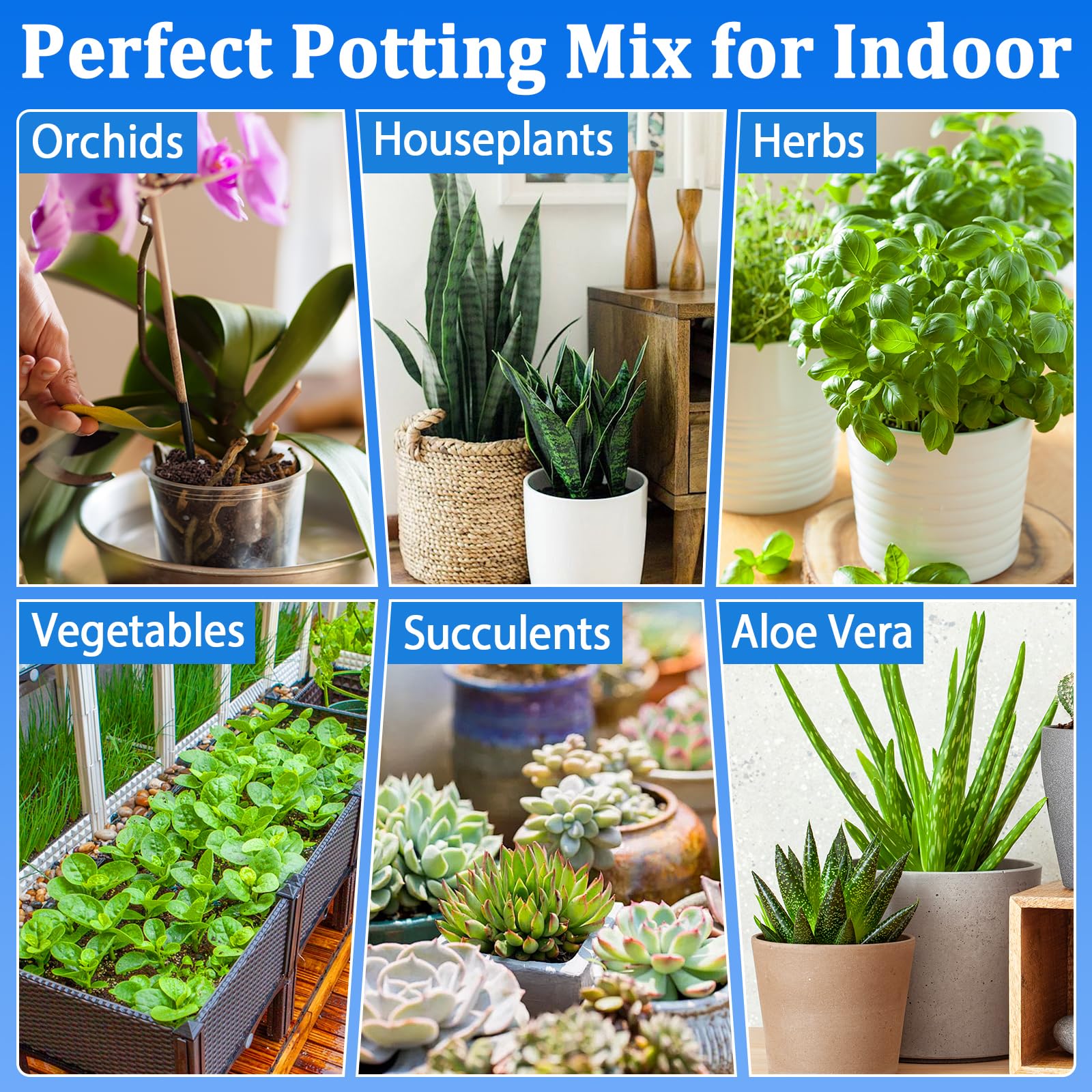 Halatool potting soil mix in outdoor garden setting
