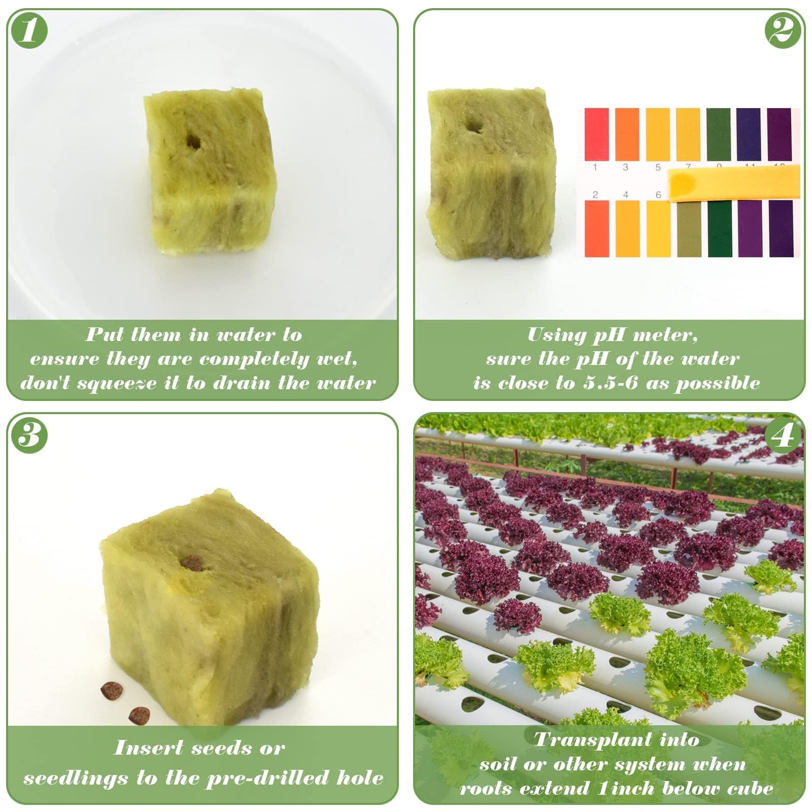 Halatool rockwool cubes arranged on a table
