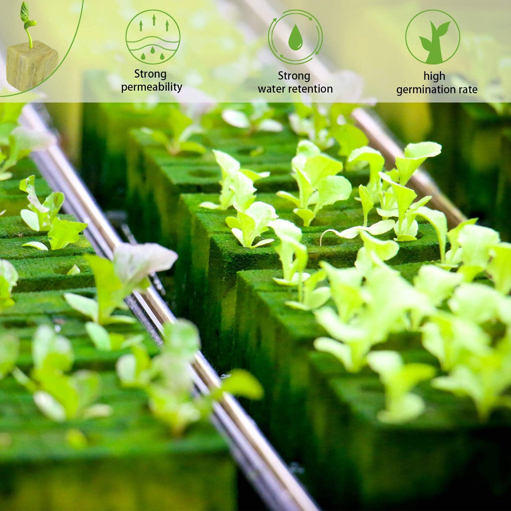 Halatool rockwool cubes in a hydroponic setup
