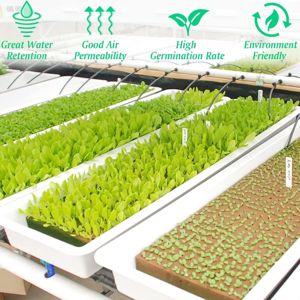 Halatool rockwool cubes in a planting setup