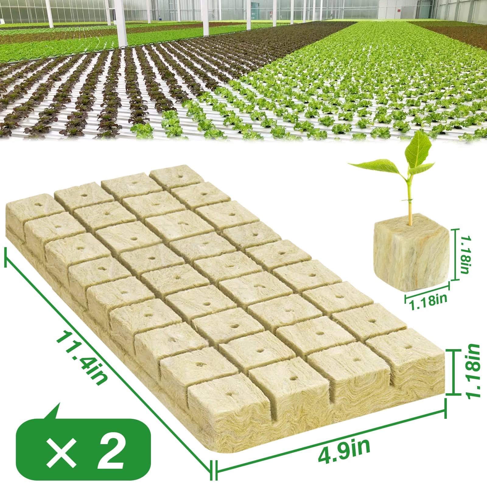 Halatool rockwool cubes in packaging
