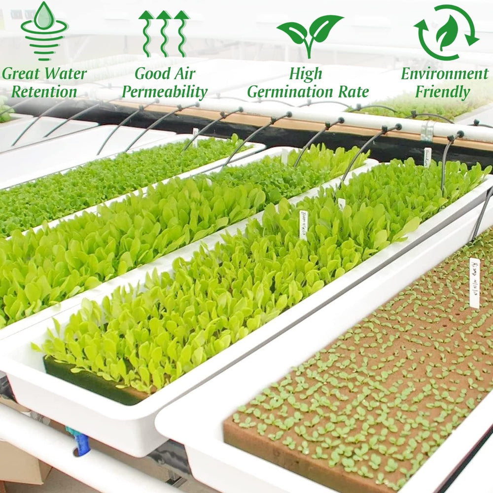 Halatool rockwool cubes in use with plants