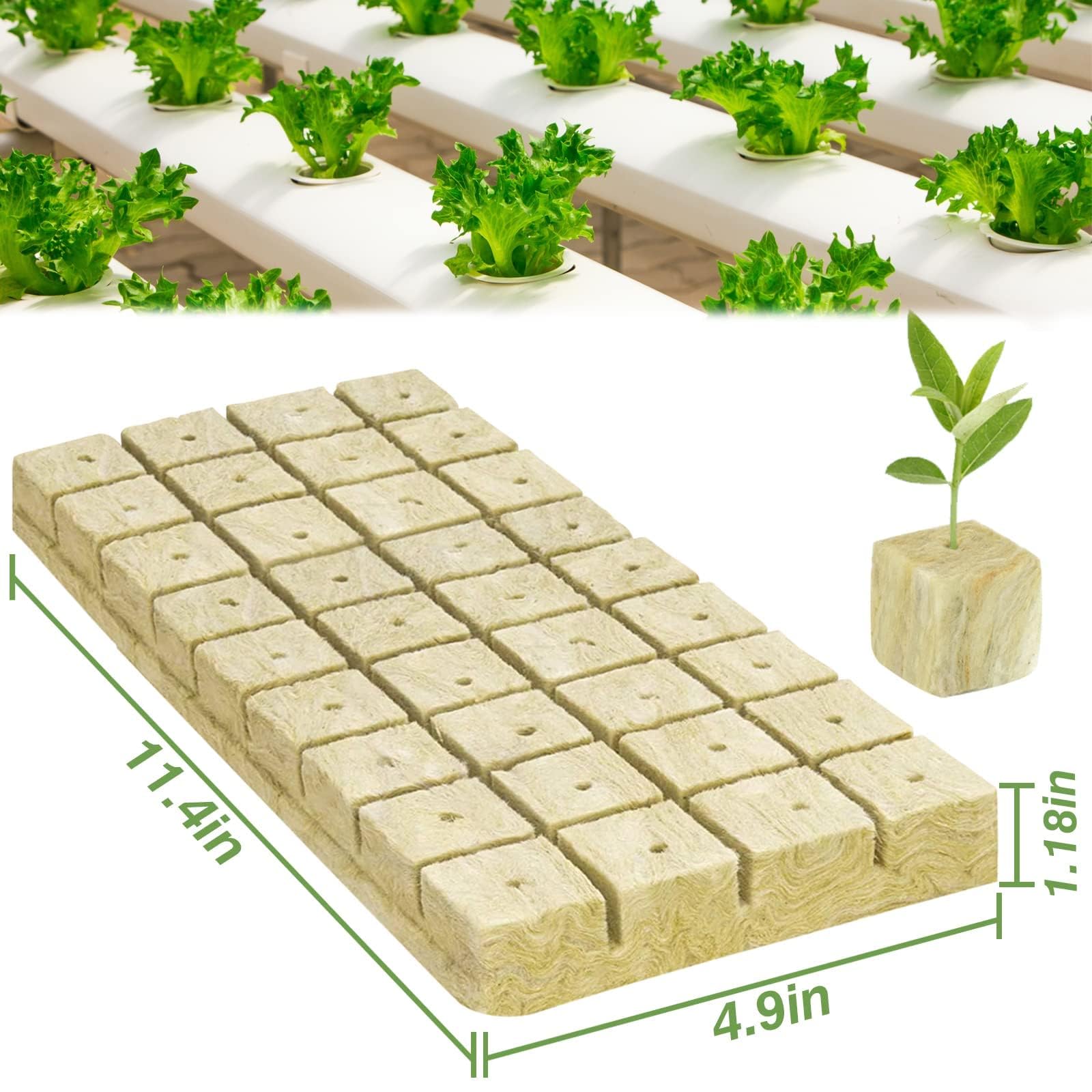 Halatool Rockwool Cubes showing individual cubes