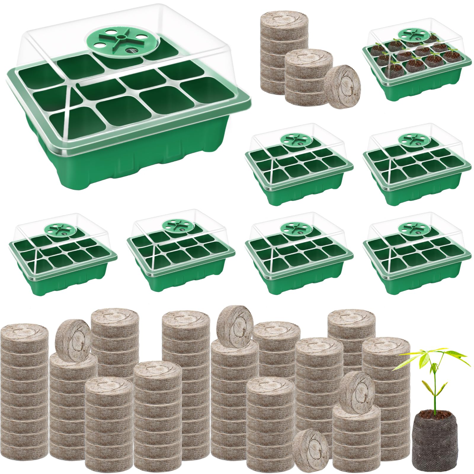 Halatool Seed Starter Tray Kit with black base and green trays