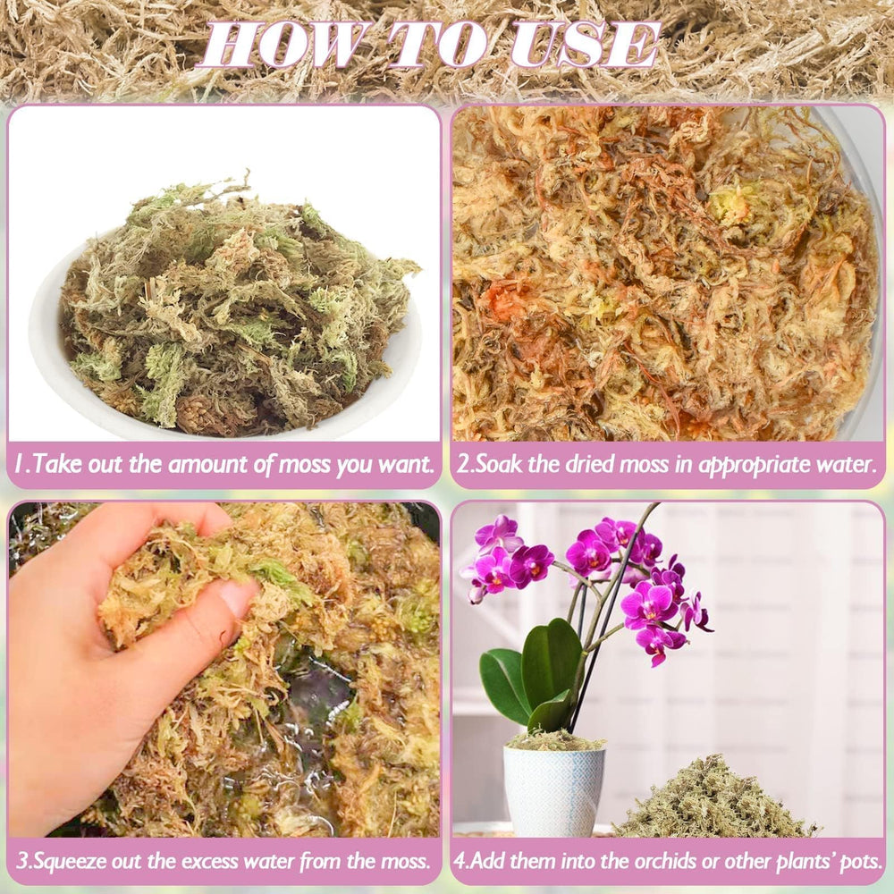 Halatool Sphagnum Moss used for propagation techniques