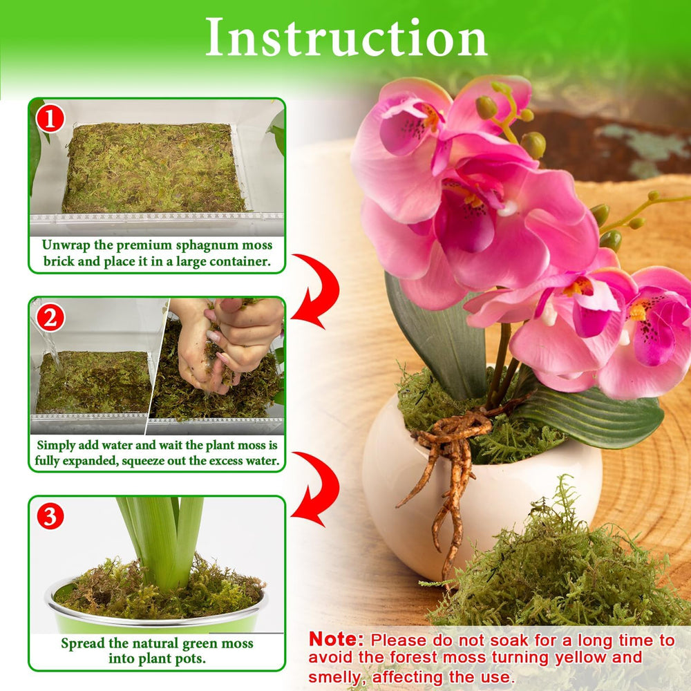 Halatool sphagnum moss used in potted plants