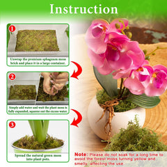 Halatool sphagnum moss used in potted plants