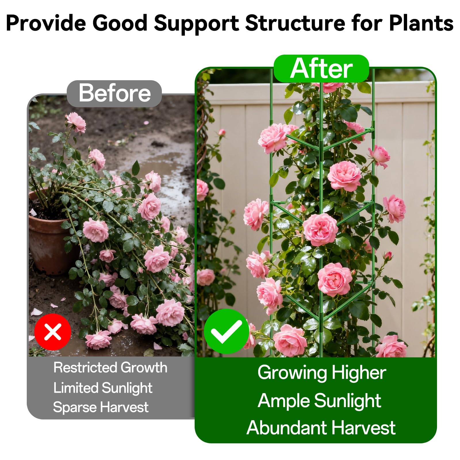 Halatool tomato cage supporting climbing plants