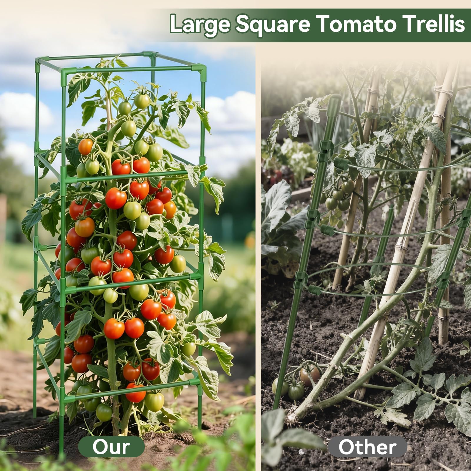 Halatool tomato cage with zip ties and insect-proof net