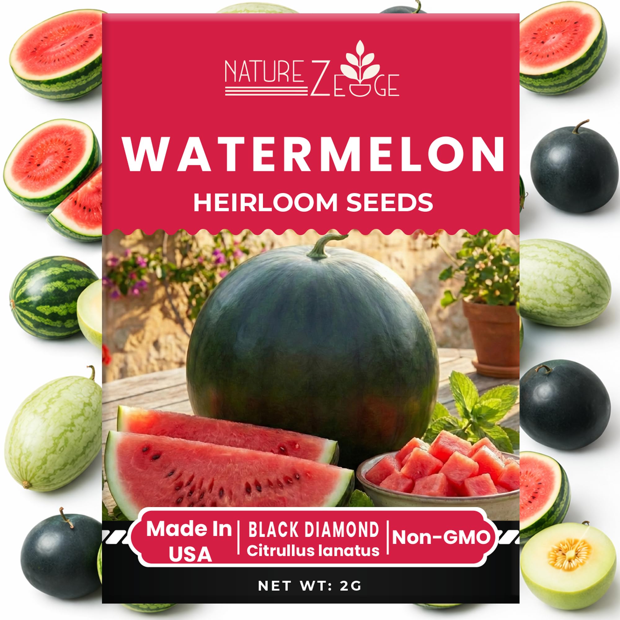 Hales Best Jumbo melon seeds from NatureZ Edge