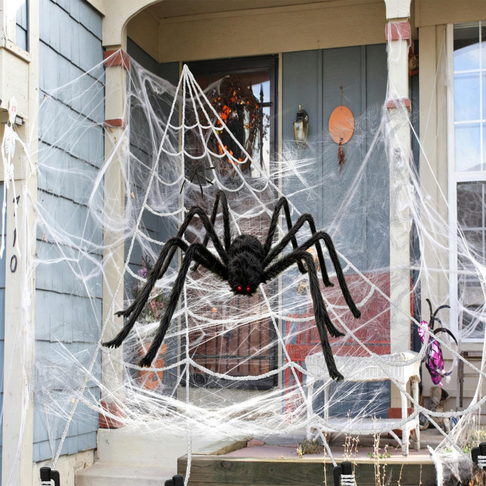 Halloween decorations with spider web and spider at night