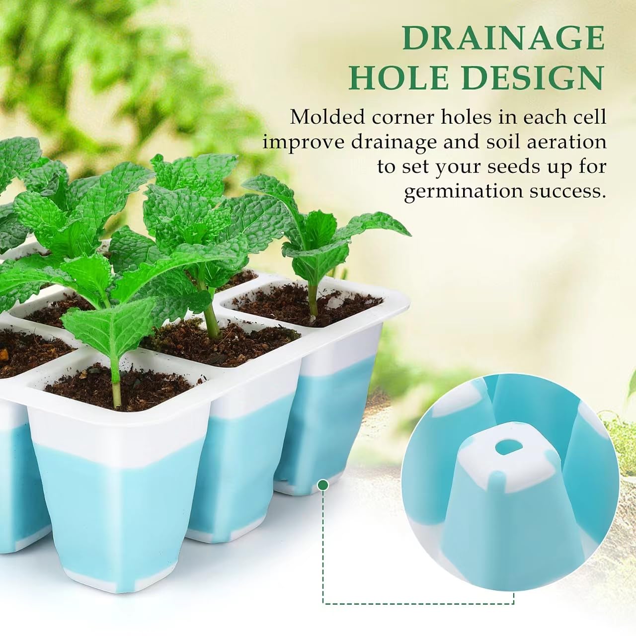 Hanaoyo Seed Starter Tray in use with seedlings growing