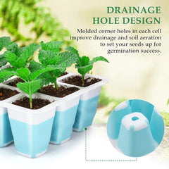 Hanaoyo Seed Starter Tray in use with seedlings growing