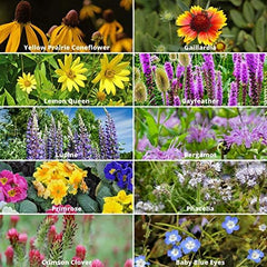 Hand scattering wildflower seeds from Mountain Valley Seed Company
