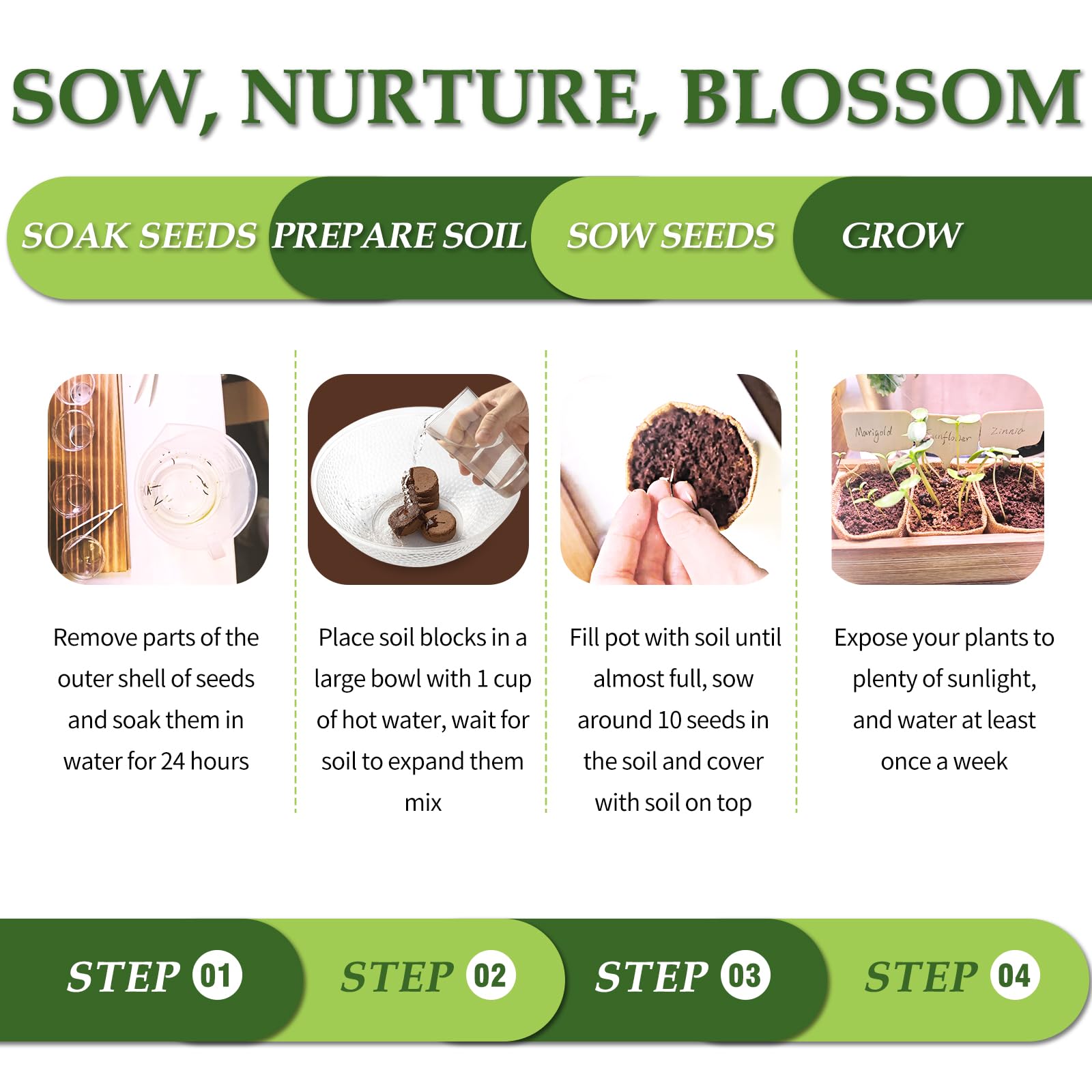 Hand tools included in the ROOTCRAFT Bonsai Tree Kit
