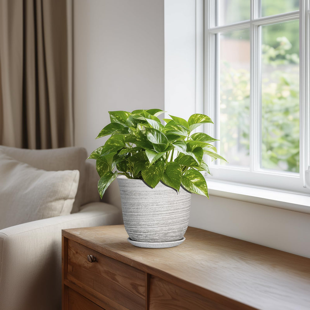 Handcrafted design of SUNPOTFOR Ceramic Plant Pot