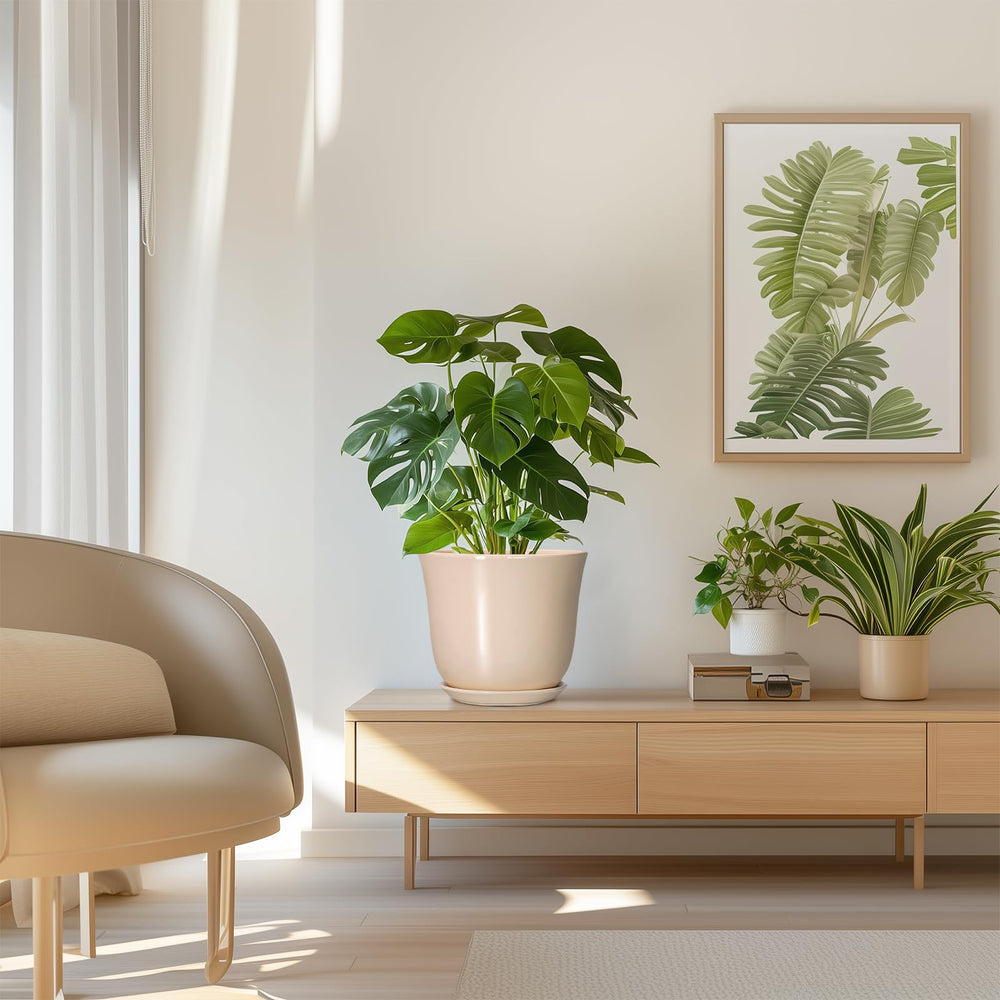 Handcrafted details of SUNPOTFOR 8 Inch Beige Planter