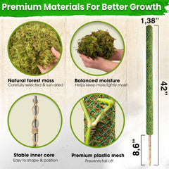 Handcrafted Duspro Moss Pole for Climbing Plants