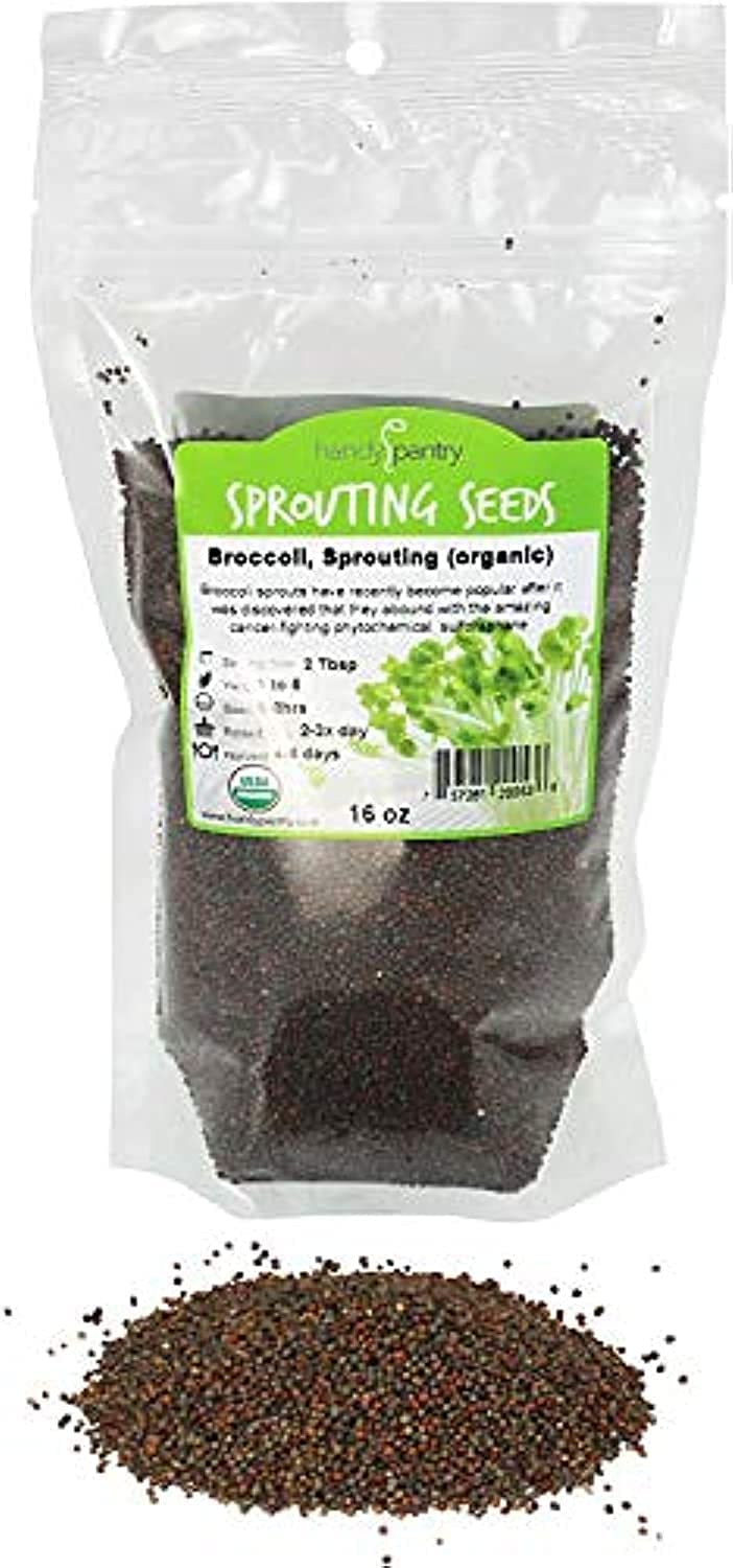 Handy Pantry Organic Broccoli Sprouts Seed 1 lb packaging front view