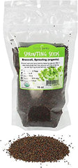 Handy Pantry Organic Broccoli Sprouts Seed 1 lb packaging front view