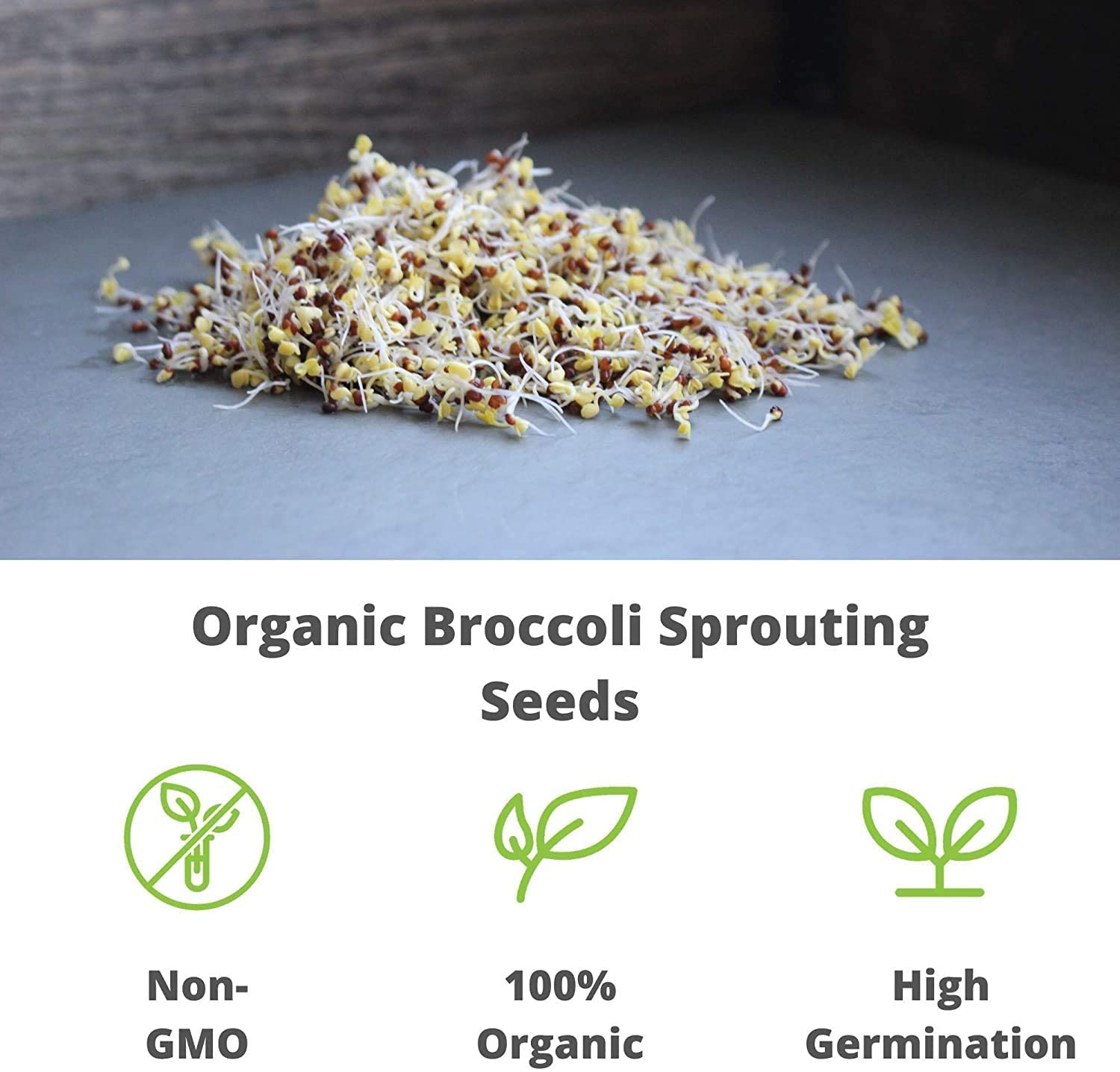 Handy Pantry Organic Broccoli Sprouts Seed 1 lb side view