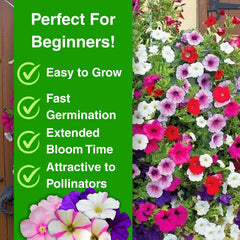 Hanging basket filled with colourful petunia flowers