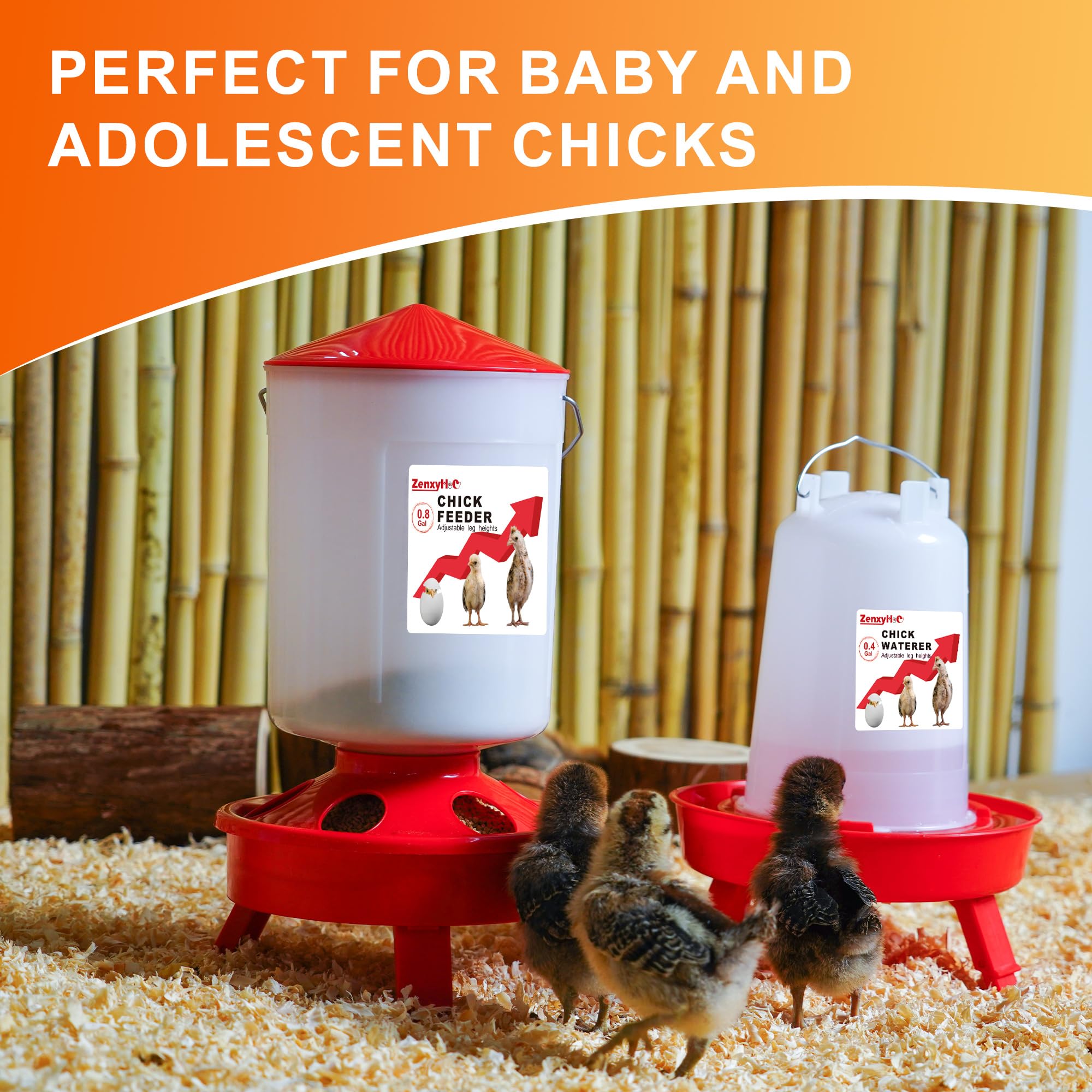 Hanging feature of ZenxyHoC chick feeder and waterer