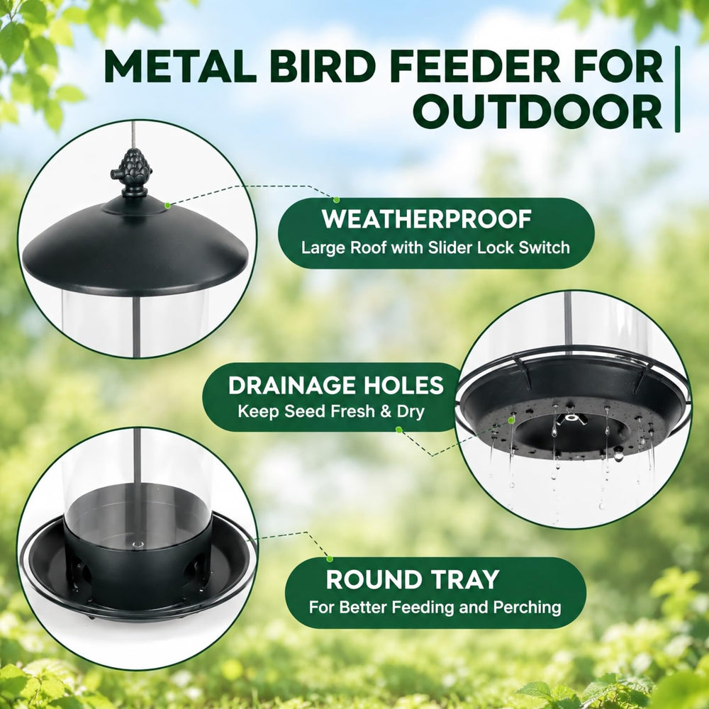 Hanging Gbekery bird feeder in a garden setting