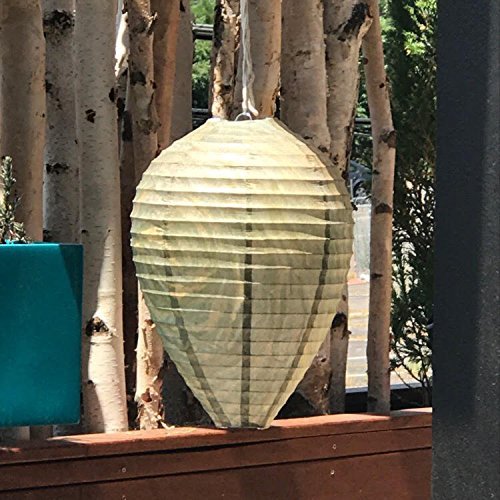 Hanging Patio Eden Wasp Nest Decoy in a garden
