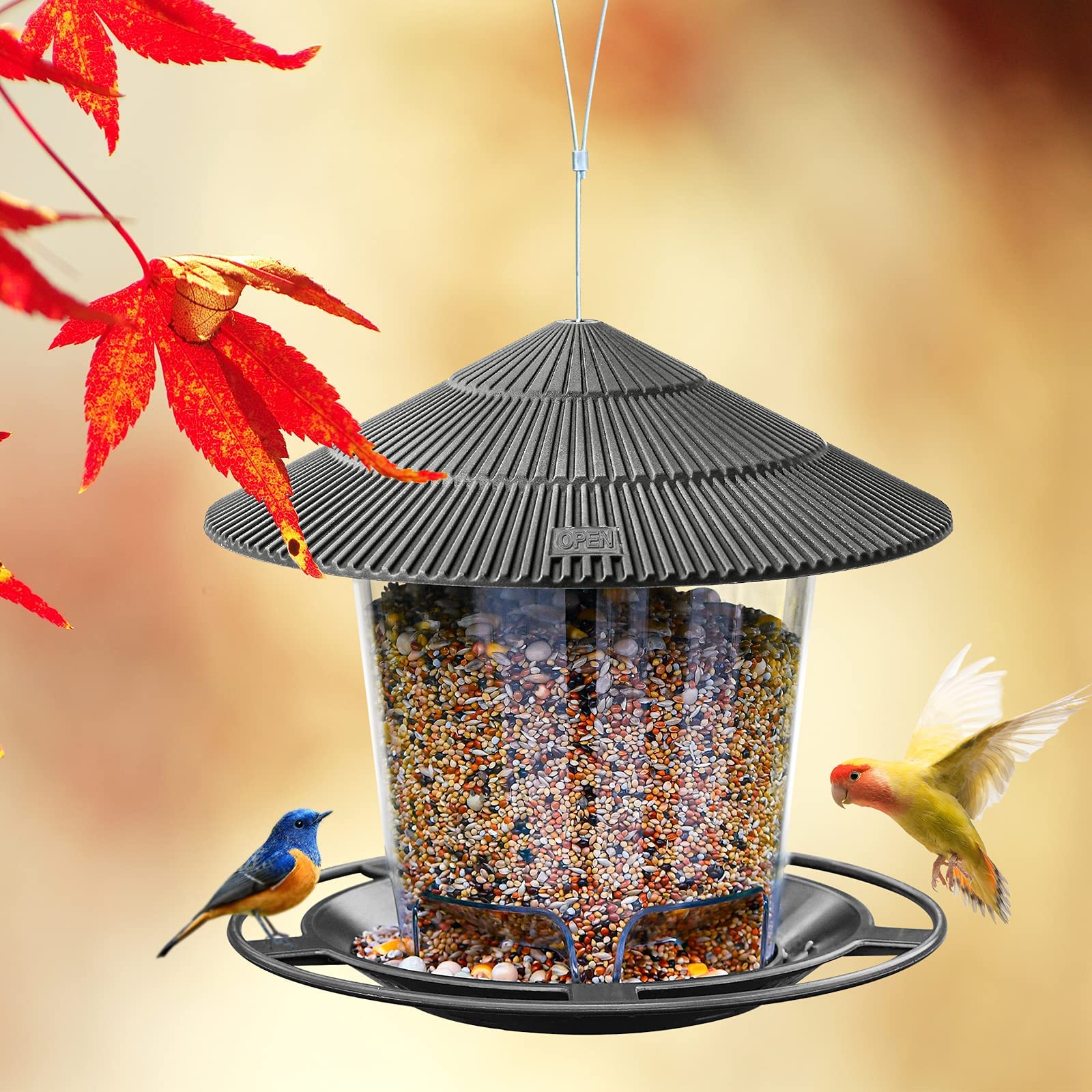 Hanizi Bird Feeder hanging in a garden setting