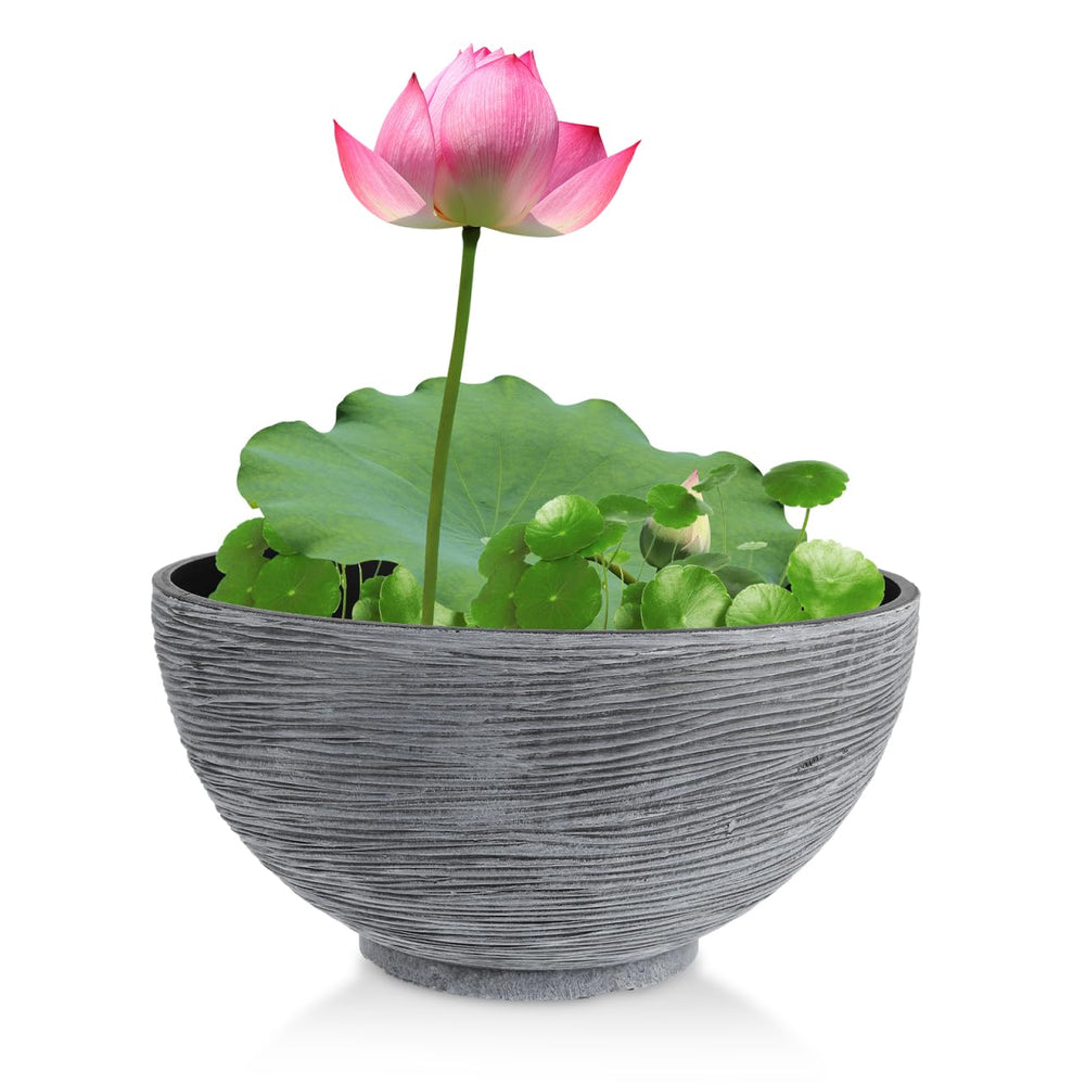 Happyyami Hydroponic Lotus Flower Pot in gray, front view