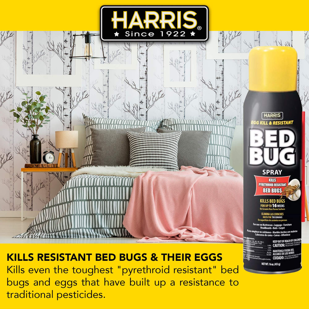 HARRIS Bed Bug Killer aerosol can back view
