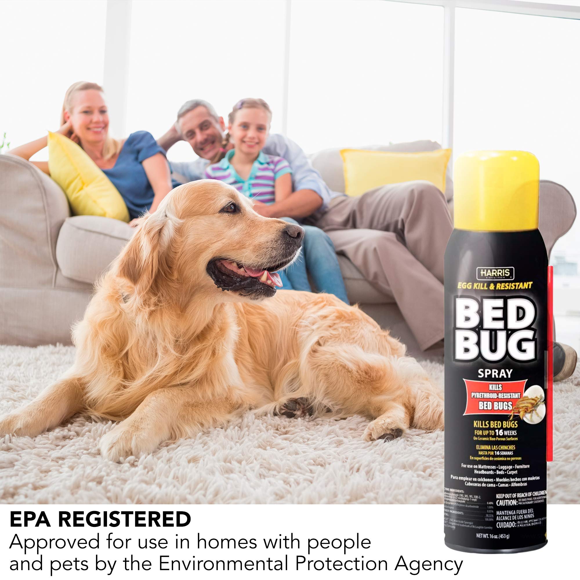 HARRIS Bed Bug Killer aerosol can with label details